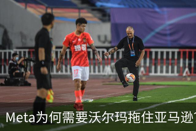 Meta为何需要沃尔玛拖住亚马逊？谷歌又去哪了